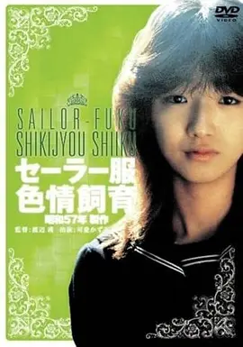 海女与灯塔 日本电影在线播放